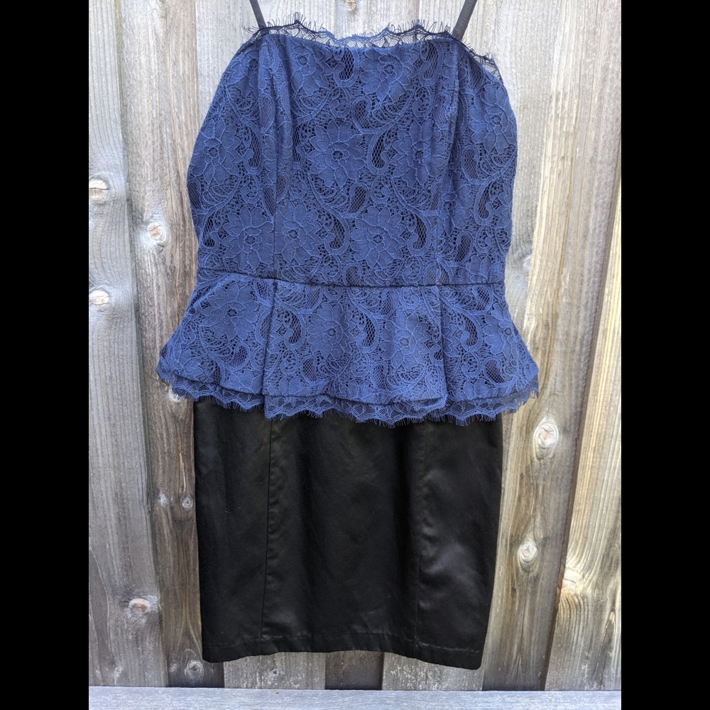 Black and navy form fitting dress